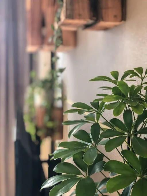 Appartamento Stylish Getaway In Prime Bratislava Location - By The Danube And Old Town Esterno foto
